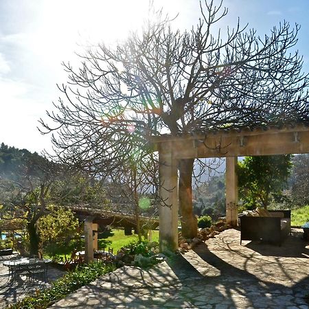 Sa Vall Valldemossa Экстерьер фото