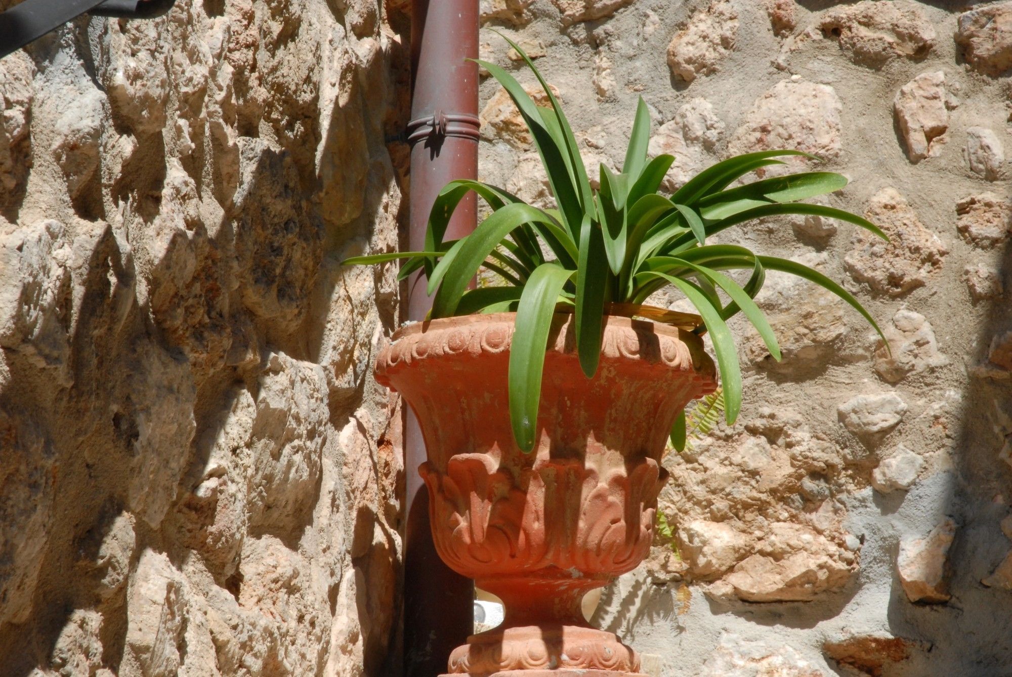 Sa Vall Valldemossa Экстерьер фото
