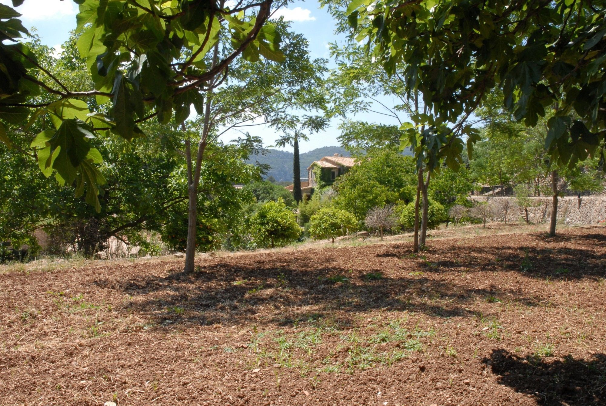 Sa Vall Valldemossa Экстерьер фото